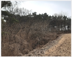  2020Ÿ��13946 ����Ư����ġ�� �屺�� �۹��� 232-12       ����(�Ӿ�)���