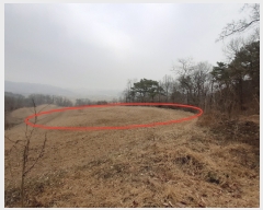  2020Ÿ��13946 ����Ư����ġ�� �屺�� �۹��� 232-12       ����(�Ӿ�)���