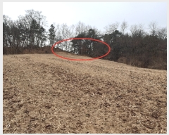  2020Ÿ��13946 ����Ư����ġ�� �屺�� �۹��� 232-12       ����(�Ӿ�)���