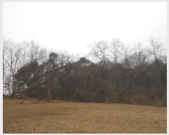  2020Ÿ��13946 ����Ư����ġ�� �屺�� �۹��� 232-12       ����(�Ӿ�)���