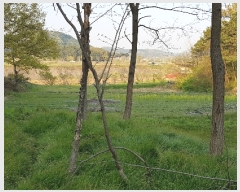  2020Ÿ��1291 �泲 �ο��� �Ծϸ� �Ծϸ� 2      ����(��)���