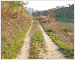  2020Ÿ��1291 �泲 �ο��� �Ծϸ� �Ծϸ� 2      ����(��)���