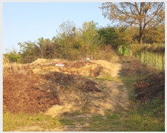  2020Ÿ��1291 �泲 �ο��� �Ծϸ� �Ծϸ� 2      ����(��)���