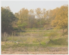  2020Ÿ��1291 �泲 �ο��� �Ծϸ� �Ծϸ� 2      ����(��)���