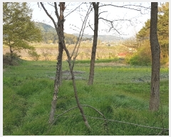  2020Ÿ��1291 �泲 �ο��� �Ծϸ� �Ծϸ� 2      ����(��)���