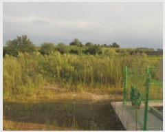  2020Ÿ��2577 �泲 ����� ������ ������ 853-24      ����(��)���