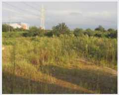  2020Ÿ��2577 �泲 ����� ������ ������ 853-24      ����(��)���