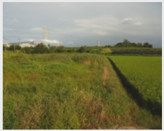  2020Ÿ��2577 �泲 ����� ������ ������ 853-24      ����(��)���