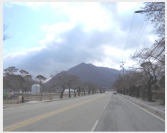  2020Ÿ��30264  �Ӿ߰��