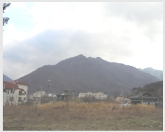  2020Ÿ��30264  �Ӿ߰��