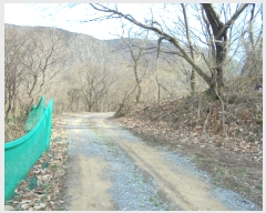  2020Ÿ��30264  �Ӿ߰��