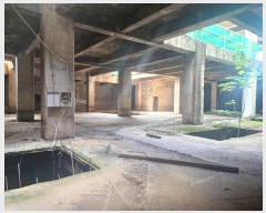  2020Ÿ��12102 ��� ���̽� ���ܵ� 198       ����(����)���