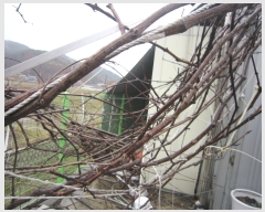  2020Ÿ��31545 ��� ���ɱ� ����� �������� 1704-9 (���̵�)     ������