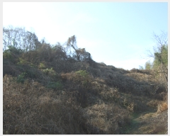  2020Ÿ��5942 ��� ���ɱ� ���� �� 573      ���ð��