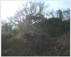  2020Ÿ��5942 ��� ���ɱ� ���� �� 573      ���ð��