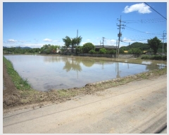  2020Ÿ5794  ֱ ﳲ õ 1004-4      ()