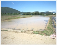  2020Ÿ5794  ֱ ﳲ õ 1004-4      ()