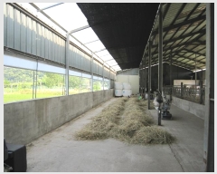  2020Ÿ5794  ֱ ﳲ õ 1004-4      ()