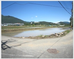  2020Ÿ5794  ֱ ﳲ õ 1004-4      ()