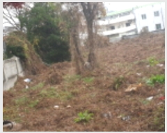  2020Ÿ��2351 �泲 ���� ���赿 959       ����(��1)���