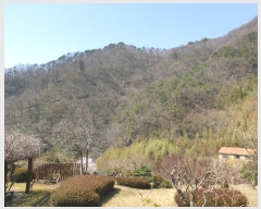  2020Ÿ��34119 �泲 ��û�� ��õ�� ���縮 357-6      ��Ÿ���