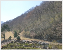  2020Ÿ��34119 �泲 ��û�� ��õ�� ���縮 357-6      ��Ÿ���