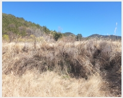  2020Ÿ��22058 �泲 ������ ���ظ� �ܰ 622      ����(��)���