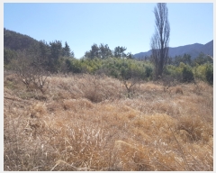  2020Ÿ��22058 �泲 ������ ���ظ� �ܰ 622      ����(��)���