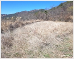  2020Ÿ��22058 �泲 ������ ���ظ� �ܰ 622      ����(��)���