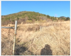  2020Ÿ��22058 �泲 ������ ���ظ� �ܰ 622      ����(��)���