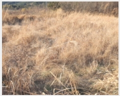  2020Ÿ��22058 �泲 ������ ���ظ� �ܰ 622      ����(��)���