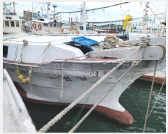  2020Ÿ��8354 (����) ���󳲵� ������        ���ڰ��