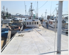  2020Ÿ��8354 (����) ���󳲵� ������        ���ڰ��