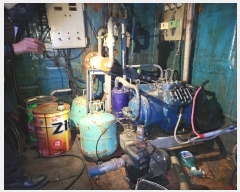  2020Ÿ��8354 (����) ���󳲵� ������        ���ڰ��