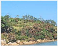  2020Ÿ��51597 ���� ������ ������ �𵵸� 75      ����(��1)���