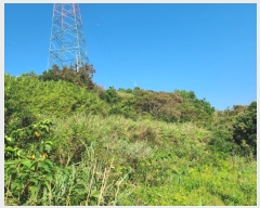  2020Ÿ��51597 ���� ������ ������ �𵵸� 75      ����(��1)���