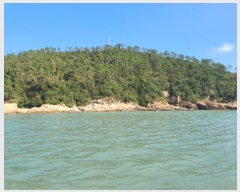  2020Ÿ��51597 ���� ������ ������ �𵵸� 75      ����(��1)���