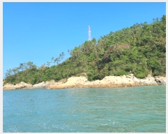  2020Ÿ��51597 ���� ������ ������ �𵵸� 75      ����(��1)���