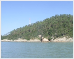  2020Ÿ��51597 ���� ������ ������ �𵵸� 75      ����(��1)���