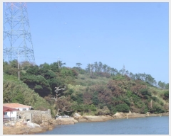  2020Ÿ��51597 ���� ������ ������ �𵵸� 75      ����(��1)���