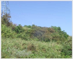  2020Ÿ��51597 ���� ������ ������ �𵵸� 75      ����(��1)���