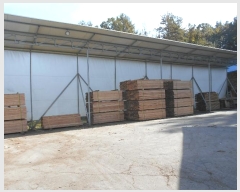  2020Ÿ7908  ȱ   1205-3      