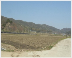  2020Ÿ3579  ӽǱ ӽ  211-1      ()