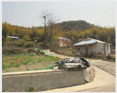  2020Ÿ3579  ӽǱ ӽ  211-1      ()