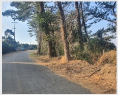  2020Ÿ28131     735-8      ()