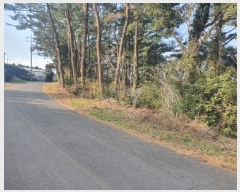  2020Ÿ28131     735-8      ()