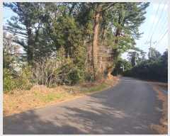  2020Ÿ28131     735-8      ()