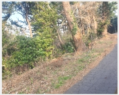  2020Ÿ28131     735-8      ()