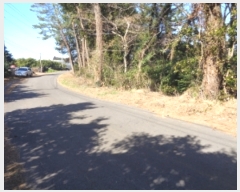  2020Ÿ28131     735-8      ()