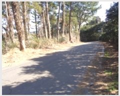  2020Ÿ28131     735-8      ()